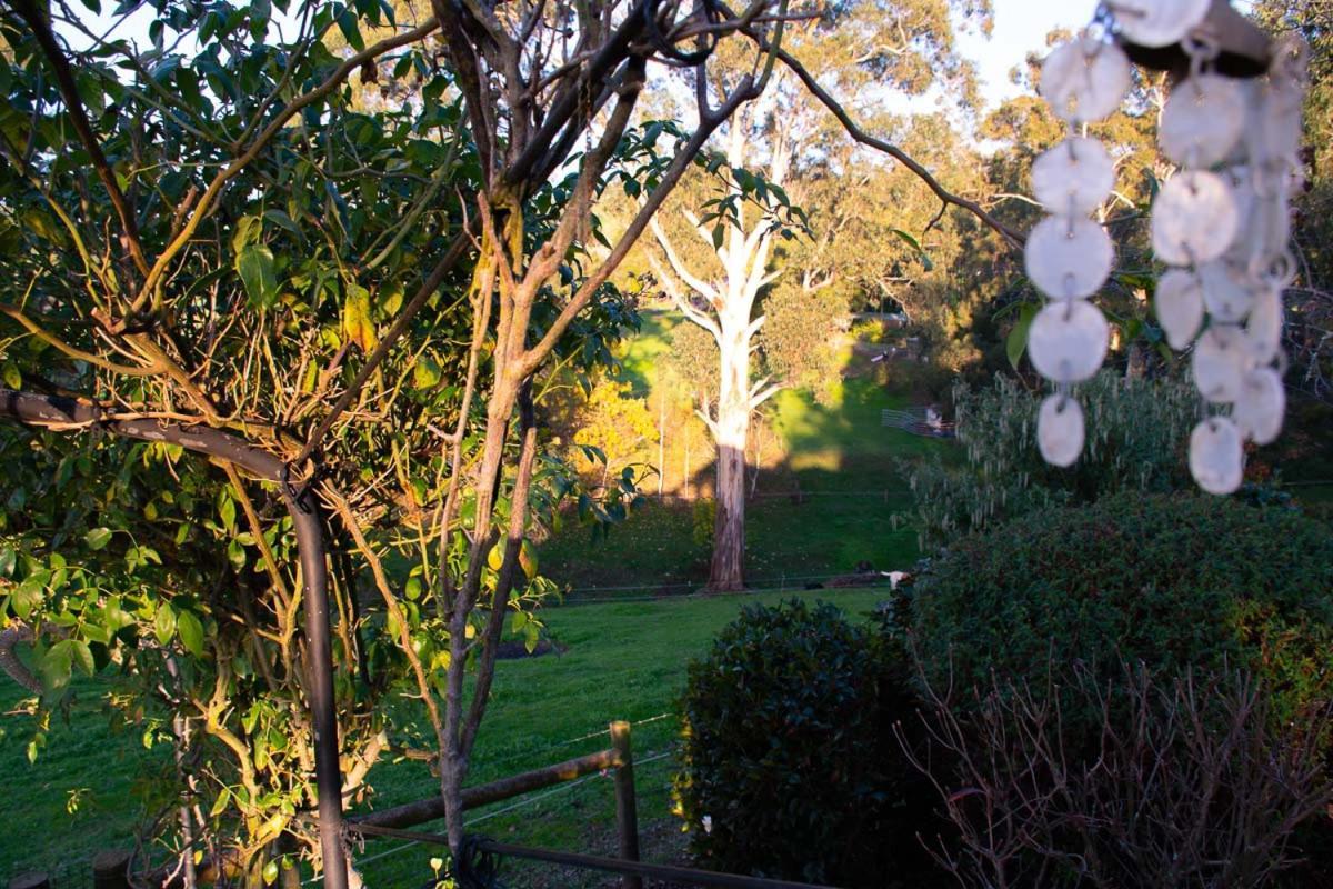 Rosewood Park Guest Suite Yarragon Exteriér fotografie